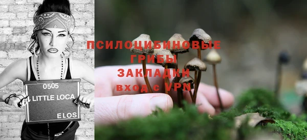 амф Арсеньев