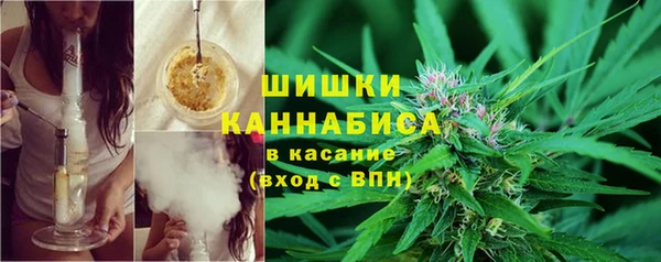 амф Арсеньев